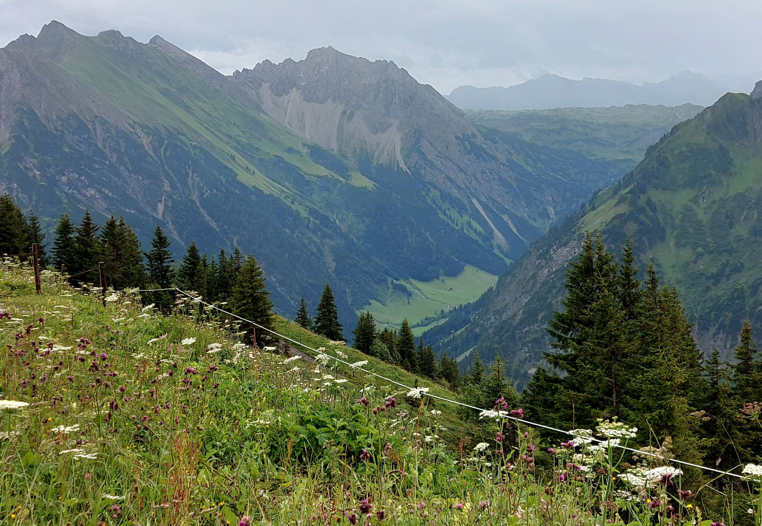 Mindful Ladies Days Kleinwalsertal